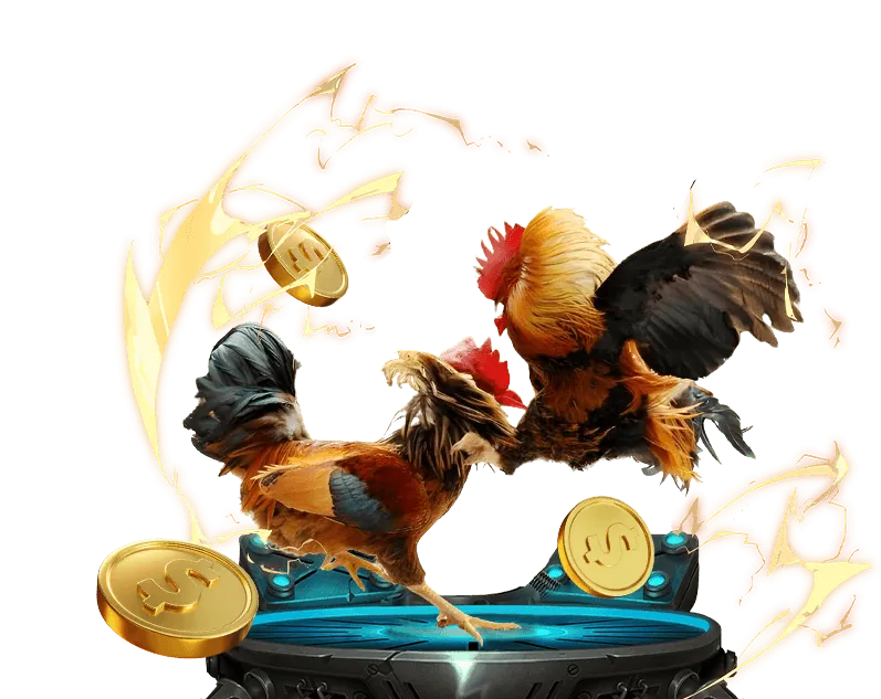 Cam kết an toàn và minh bạch của trực tiếp gà cam 67